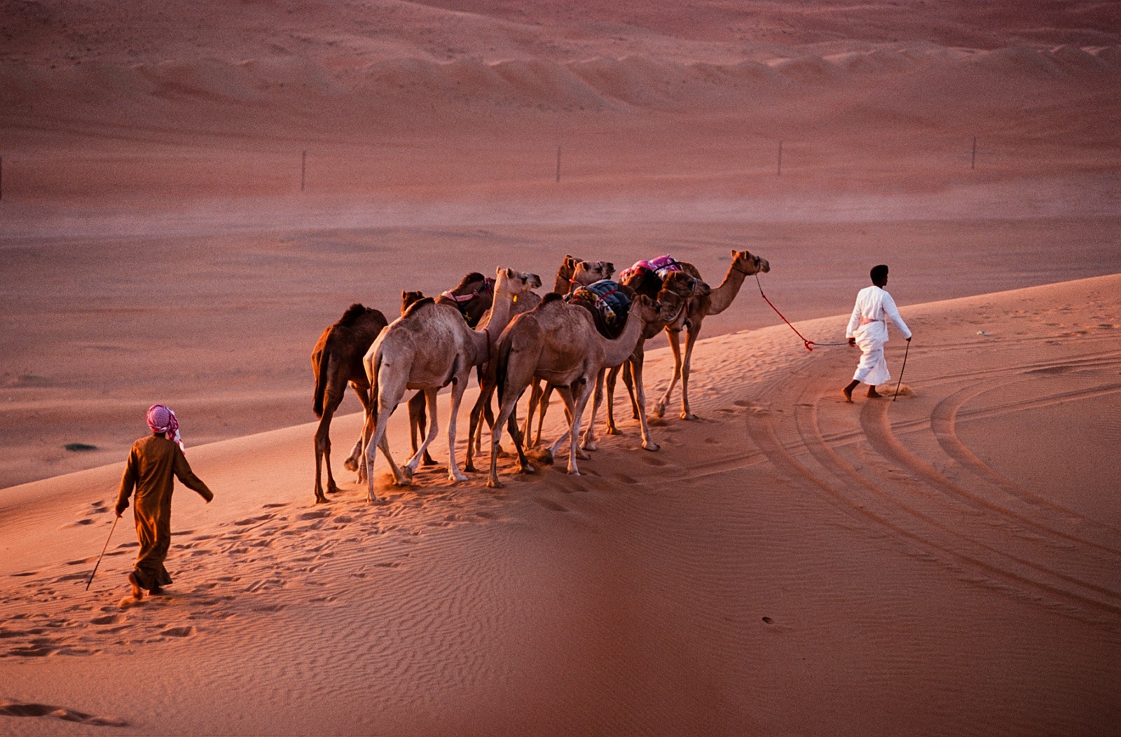 Wild Oman Adventure  5 Nights & 6 Days